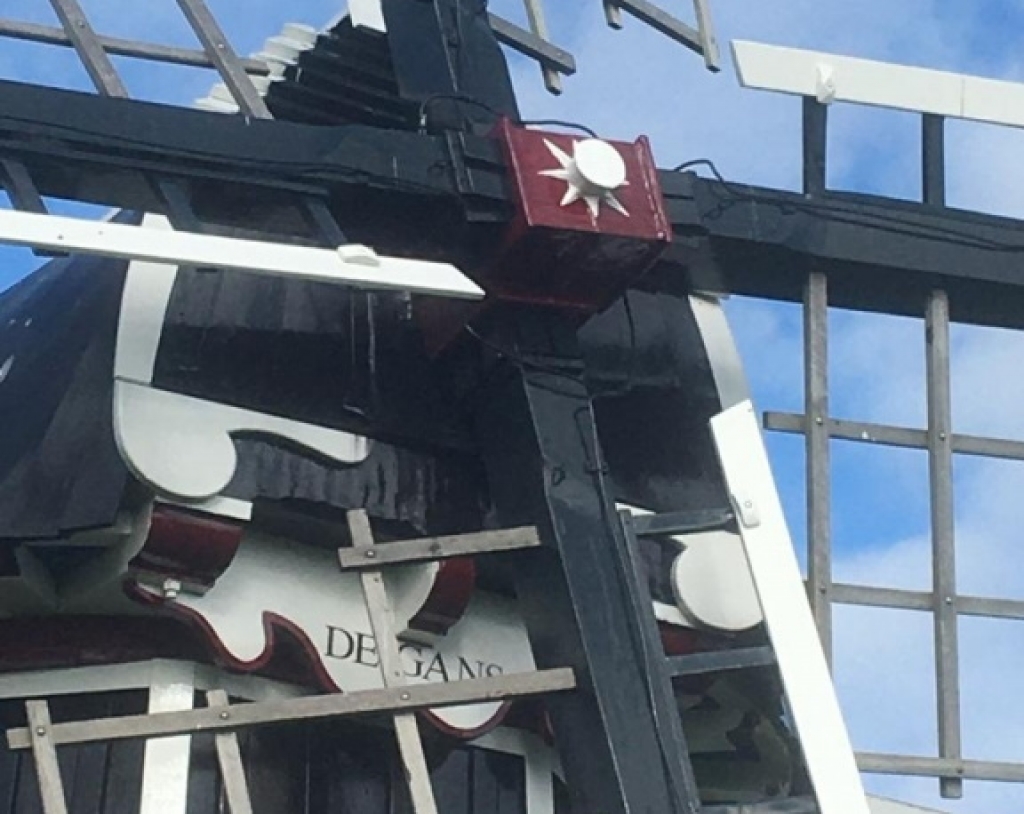 Banner voor nieuwsbericht Schilderwerk De Gans - Iezumasyl