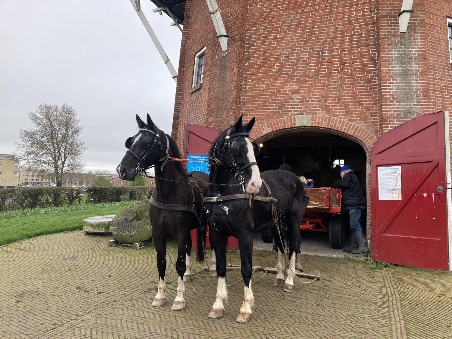Paard-en-wagen in de molen