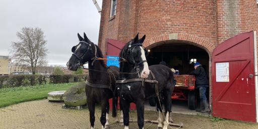 Paard-en-wagen in de molen