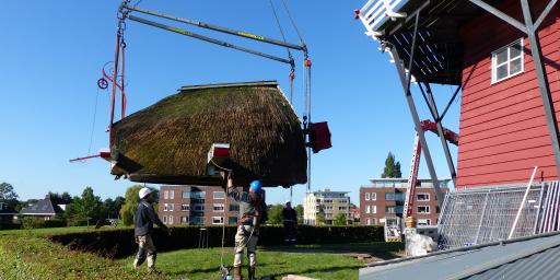 De kap wordt achter de molen geplaatst voor nieuw rietdek